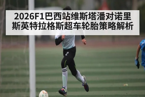 2026F1巴西站维斯塔潘对诺里斯英特拉格斯超车轮胎策略解析